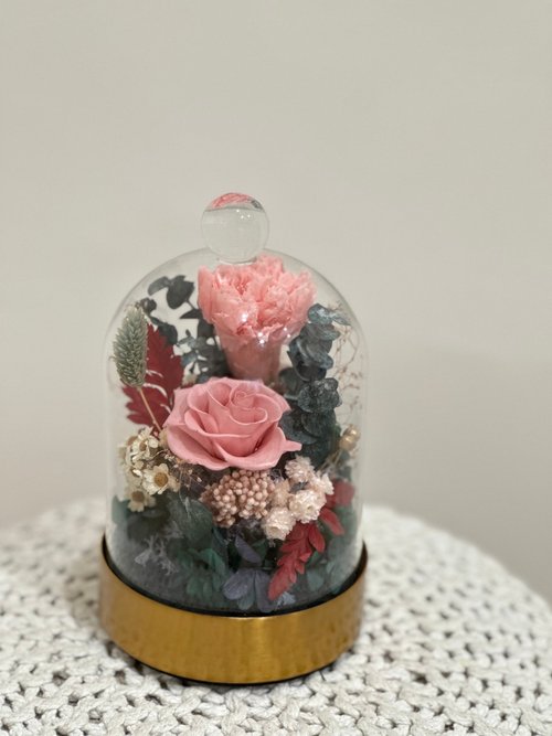 Miau Flowers 喵喵花室 溫柔粉永生玫瑰花玻璃罩 永生康乃馨