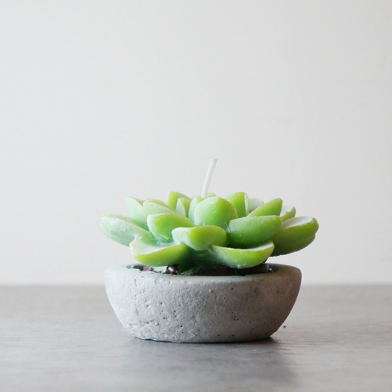Lola Succulent Plant Citronella Candle - Candles & Candle Holders - Wax Green