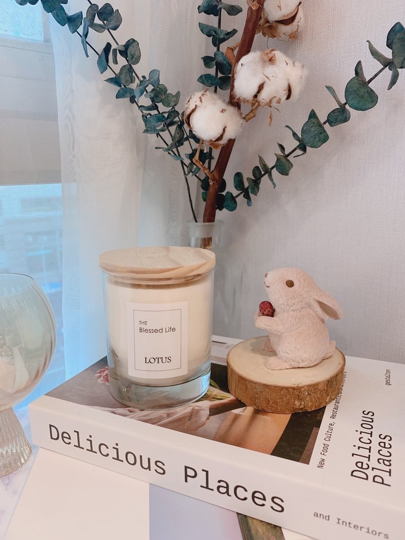 Fragrance Gift Stone Scented Candle + Wishing Rabbit Diffuser - Fragrances - Other Materials 