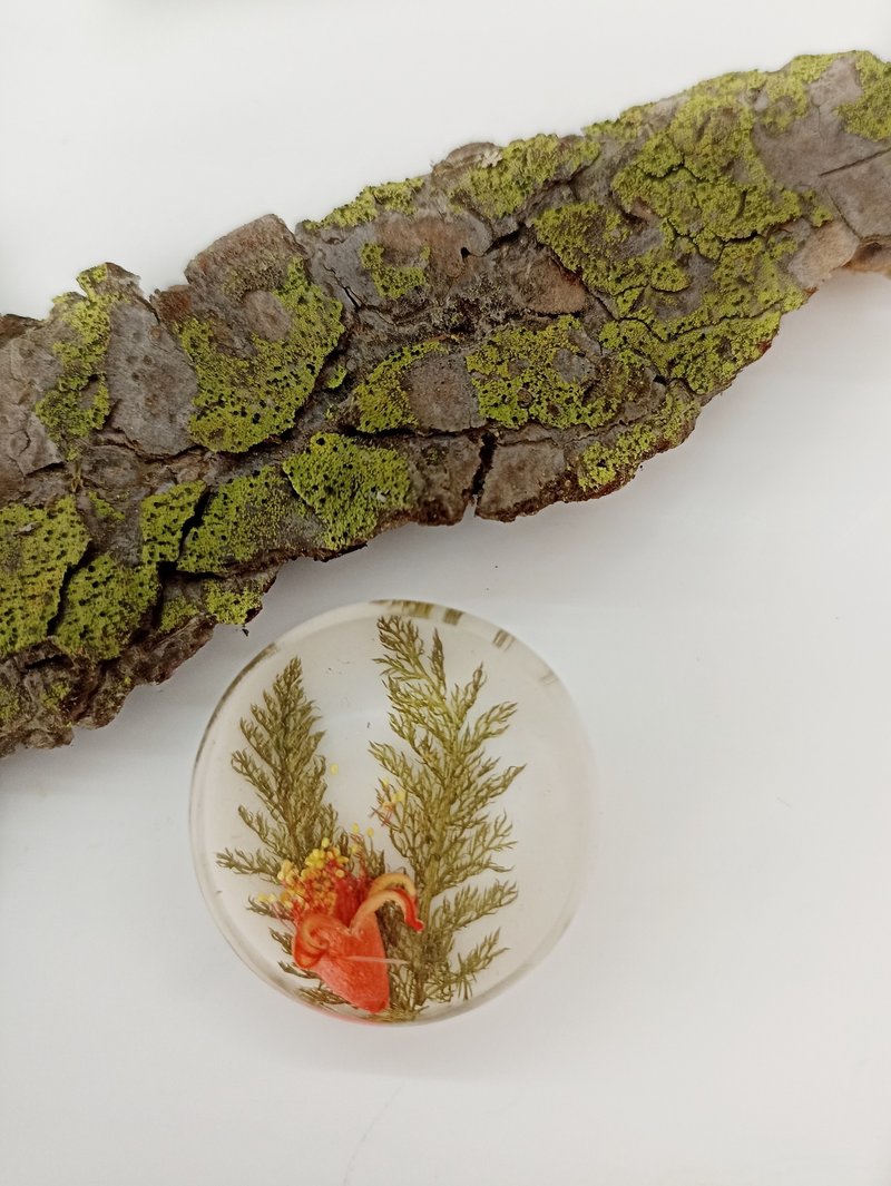 生日禮物 項鍊 Brooch with pomegranate flowerband immortelle leaves Flower Brooch pin - 耳環/耳夾/耳骨夾 - 樹脂 白色