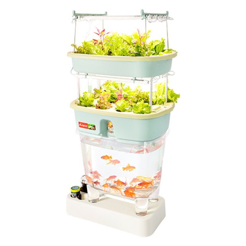 魚菜共生系統V2.0-2 - 盆栽/植栽 - 塑膠 