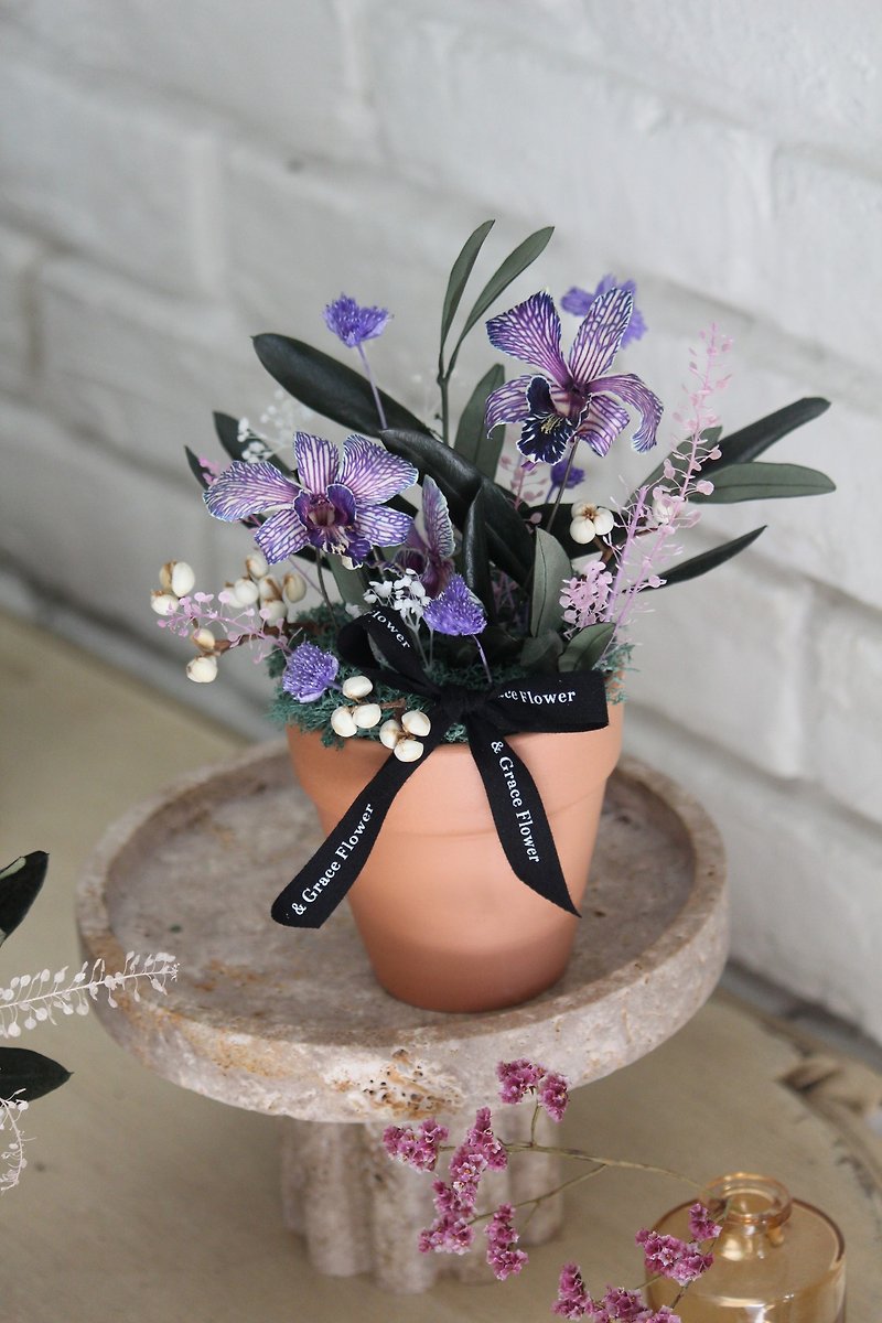 紫色の永遠の蘭の小さな鉢植え - ドライフラワー・ブーケ - 寄せ植え・花 パープル