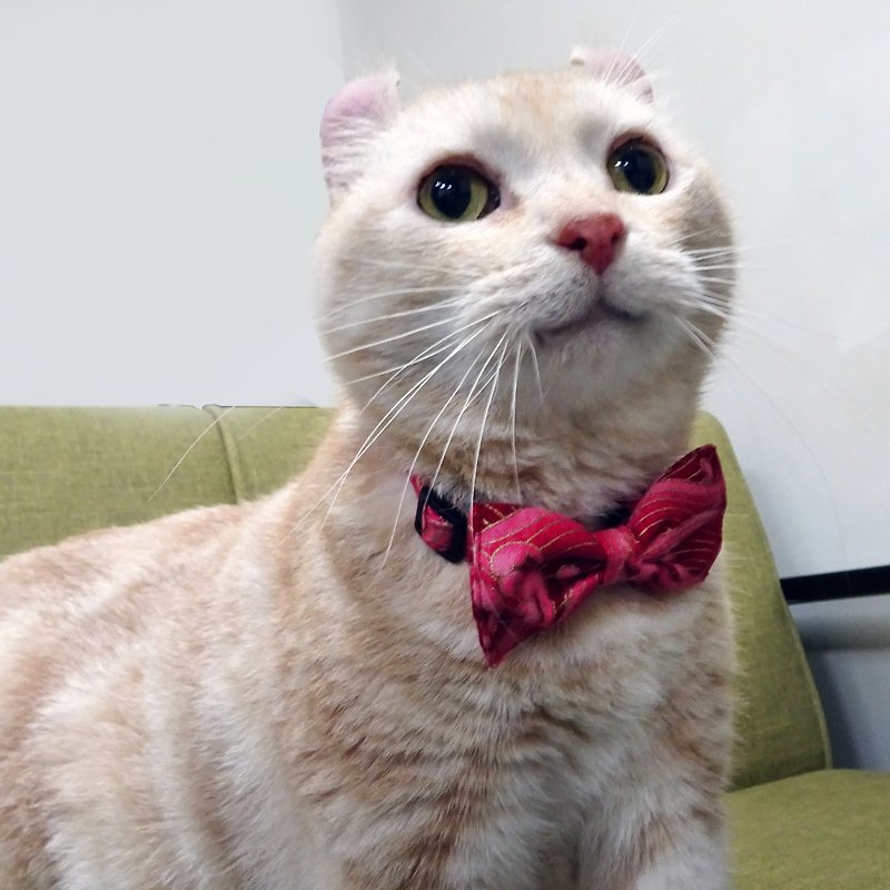貓領結 可拆卸式領結 紅海浪紳士款 - 項圈/牽繩 - 棉．麻 