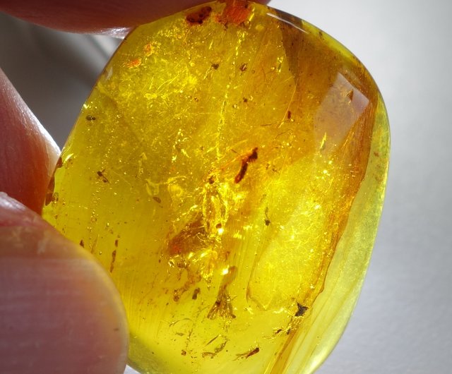 N2 stone Natural] 天然化石 琥珀 (コハク/amber) / 原石 | (約1000g