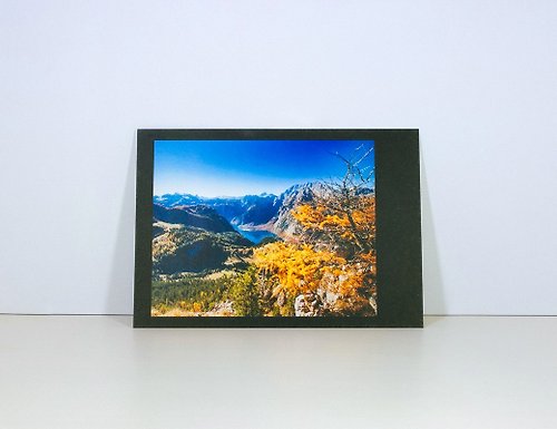 Hare's tail Lab 攝影明信片 | 國王湖和金黃色的樹-貝希特斯加登國家公園-貝希特斯加登郡的秋天-巴伐利亞-德國