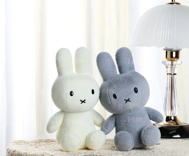 user_ae72a1ee　ミッフィー ✎𓂃 ひこうき✈️𓂃𓈒𓂂𓏸 飛行機に乗ったら撮りたかった