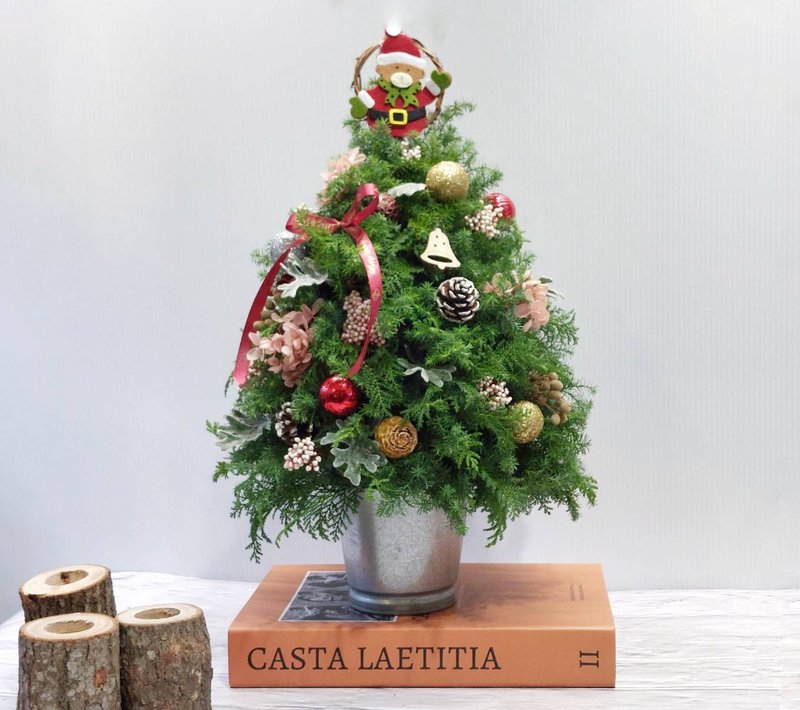 Fresh cedar Christmas tree with lights - New opening discount (limited to Taipei counties and cities) - ตกแต่งต้นไม้ - พืช/ดอกไม้ สีเขียว