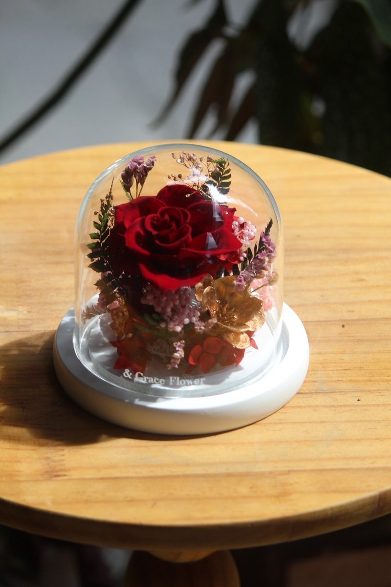 精緻紅色玫瑰小玻璃花盅 - 乾燥花/永生花 - 植物．花 紅色