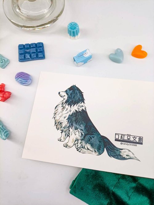 口紅堂文創LIPSTICK CNDY CCI KR474 口紅堂明信片 邊境牧羊犬7 candy1313588 postcard