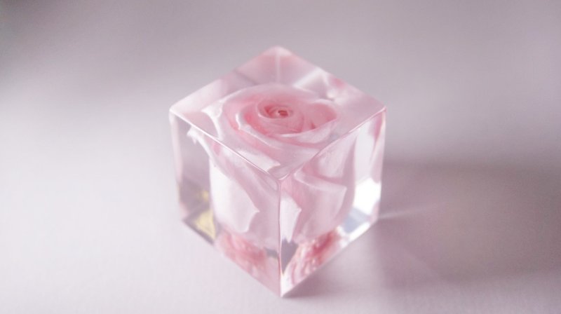 紅色玫瑰－立體方形乾花擺設 - 植栽/盆栽 - 壓克力 粉紅色
