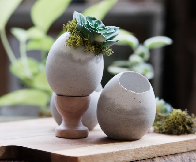 dragon eggs pot 植木鉢 dragon eggs pot 植木鉢 （F.E.P. (Five Elements Plants