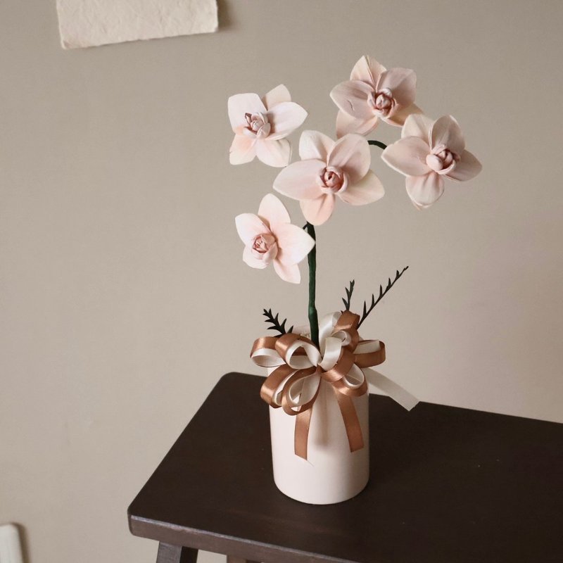 Pale Pink Sola Phalaenopsis Potted Flower Diffusing Flower Orchid Opening Potted Flower Home Decoration Gifts Housewarming - ช่อดอกไม้แห้ง - พืช/ดอกไม้ หลากหลายสี