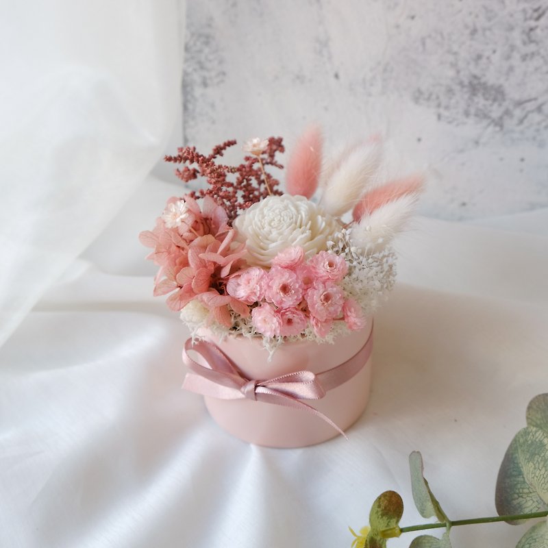 [Small potted flowers] potted plants/pink/white/without flowers/immortal flowers/dry flowers/Chinese Valentine’s Day/Valentine’s Day - Plants - Plants & Flowers Pink
