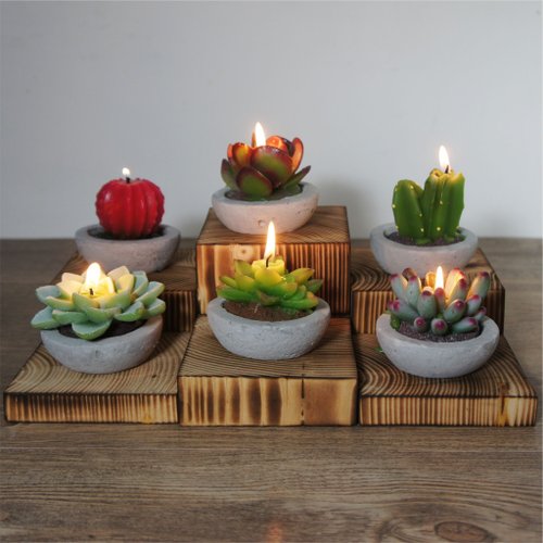 Plant Citronella Candle Collection - 6 pack
