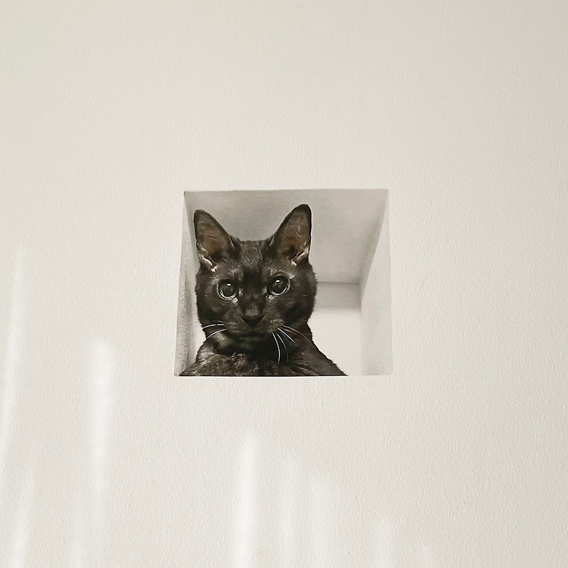 Mousou Mapping Sticker/ Cat from the wall (Black Cat) - Wall Décor - Paper Black