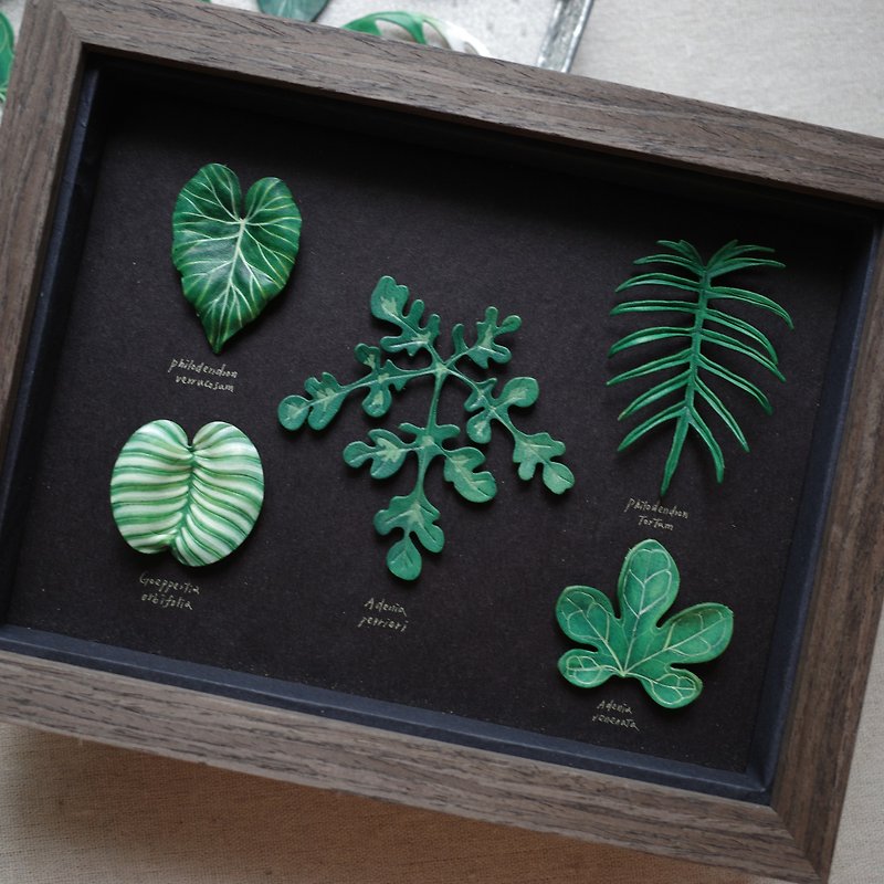 5-Leaf Foliage Leather Specimen Photo Frame - Items for Display - Genuine Leather 