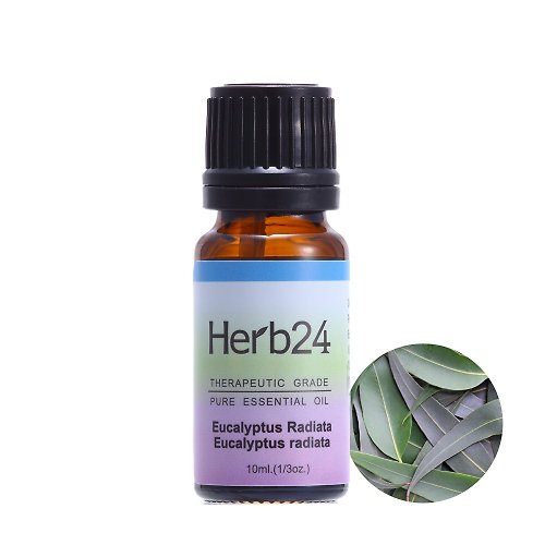 草本24。Herb24 澳洲尤加利 純質精油