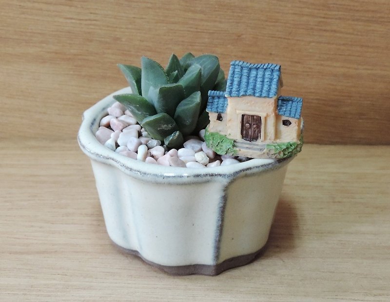 Japanese small potted ‧ succulent - ตกแต่งต้นไม้ - พืช/ดอกไม้ 