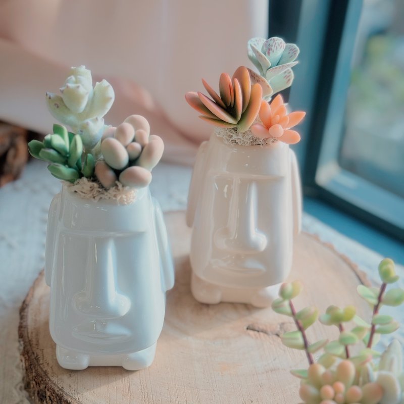 【送禮首選】黏土多肉 摩艾石像.附提袋.多肉盆栽.交換禮物 - 裝飾/擺設  - 黏土 