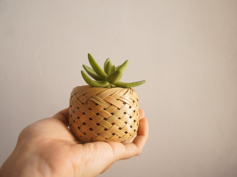 Small Bamboo Basket - Bamboo Flower / Succulent Plant / Storage Small Objects / Container / Table - ตกแต่งต้นไม้ - ไม้ไผ่ สีเหลือง