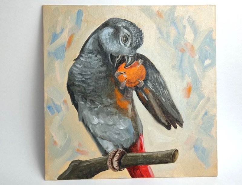 Gray parrot painting artwork original oil art bird portrate 25 by 25 cm - 壁貼/牆壁裝飾 - 其他材質 多色