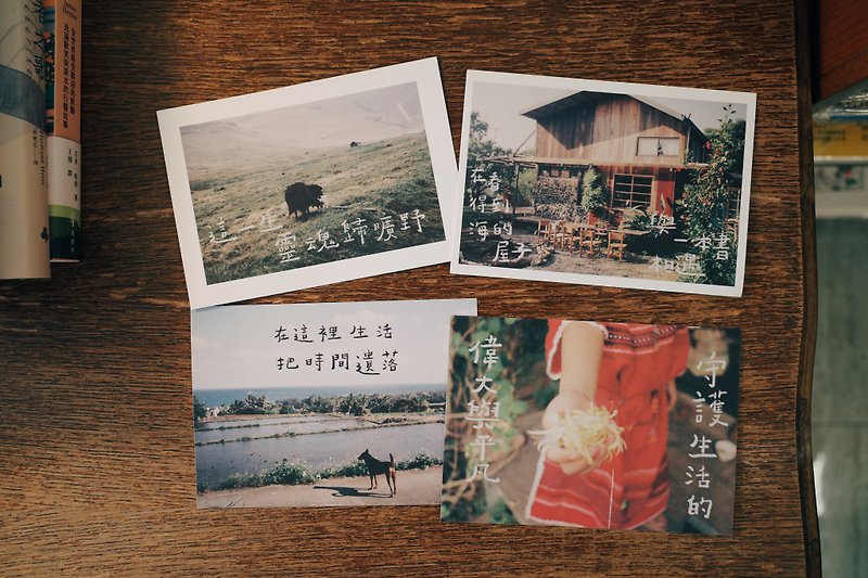 Photographic postcard of a small book exhibition in the enchanted forest - การ์ด/โปสการ์ด - กระดาษ 