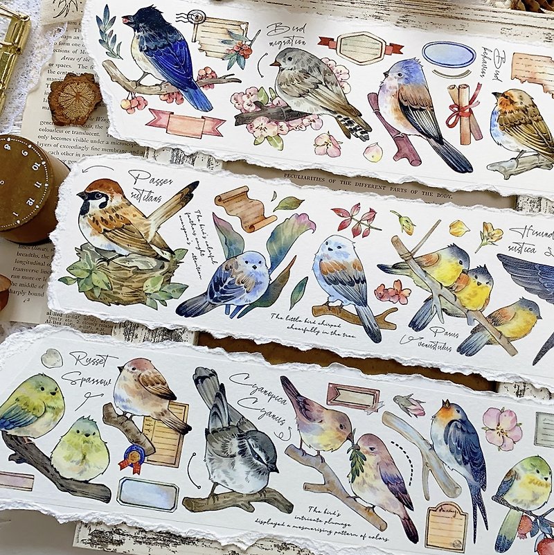Bird Collection Vintage Animal Drawings PET Washi Tape - มาสกิ้งเทป - วัสดุอื่นๆ หลากหลายสี