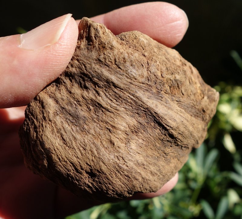 加里曼丹野生沉香老料96公克 Agarwood 沉香擺件【沉水級】星洲 - 香氛/精油/擴香 - 其他材質 卡其色