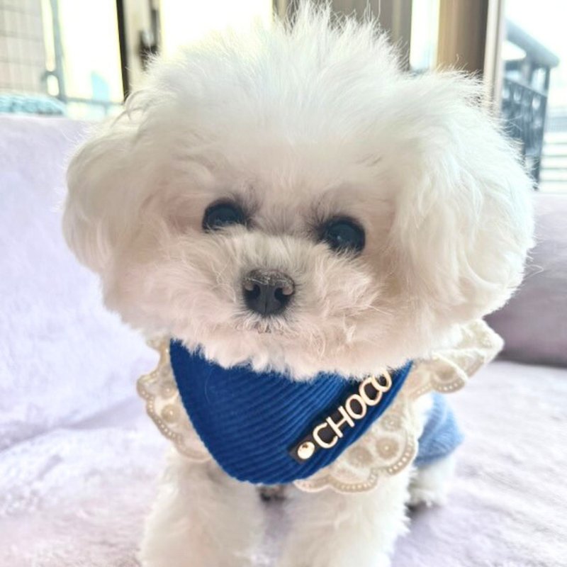 Custom Pet Collar Bandana personalised name metal letters Blue 100Cotton - ชุดสัตว์เลี้ยง - วัสดุอื่นๆ สีน้ำเงิน