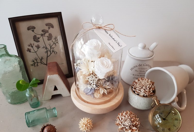 Preserved flower+dried flower|pure white rose does not wither glass flower│preserved flower|universal Valentine's Day - Dried Flowers & Bouquets - Plants & Flowers White