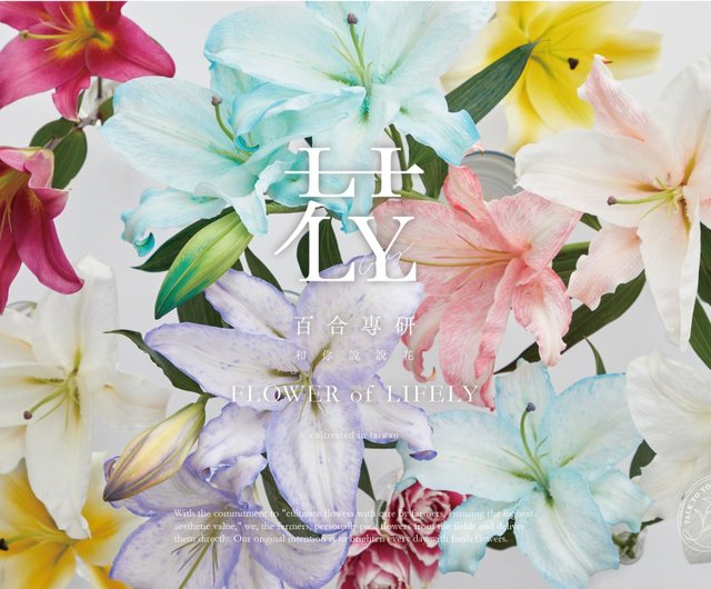 ゆりページ ゆりページ PP323A-165-BG ワイヤーストリッパ(黒金・バネ付