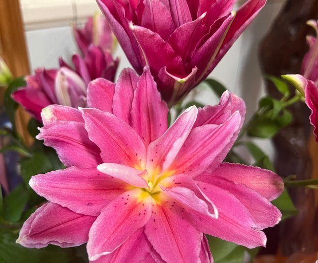 予約商品】ダブルリリーシリーズ A.ブーケスタイル - ショップ