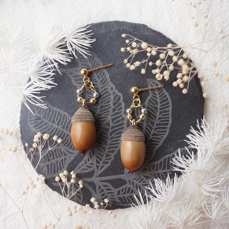 Taiwanese native plant seeds - Quercus japonica - golden bead earrings - ต่างหู - พืช/ดอกไม้ สีนำ้ตาล