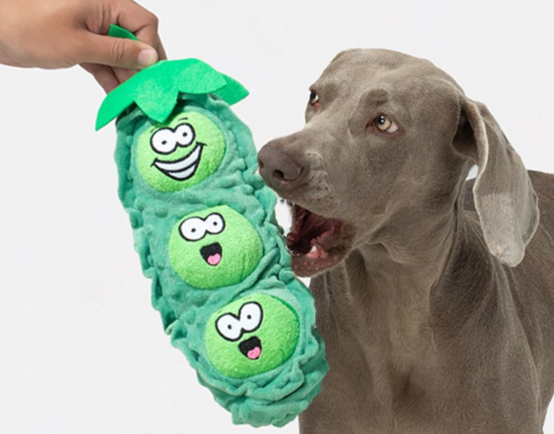【チベット豆のさや】小型・中型犬用・知育玩具 - おもちゃ - その他の素材 グリーン