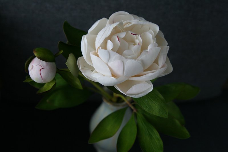 clay peony bouquet, cold porcelain flowers, faux white peony, gift for her - Dried Flowers & Bouquets - Plastic White