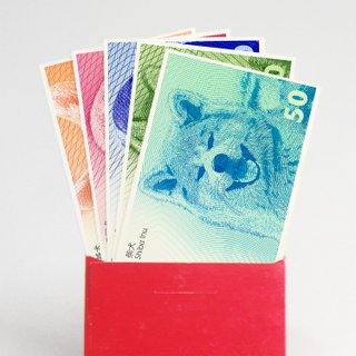 Blessing Cards-Creative Year of the Dog Coins-New Year Greetings Red Envelope Lai See-Year of the Dog Zodiac Banknote Bookmarks