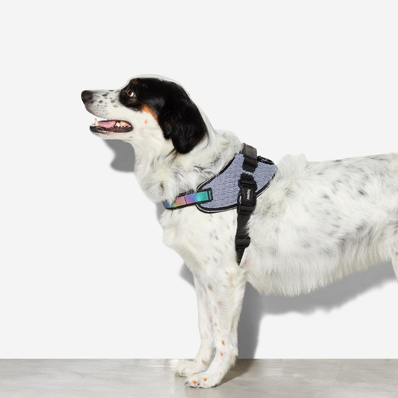 zee.dog Urban Shuttle Bust Reflective Strap with Leash - Collars & Leashes - Cotton & Hemp Multicolor