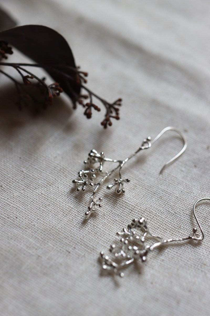 Plant collection round leaf eucalyptus flower sterling silver earrings - ต่างหู - เงินแท้ สีเงิน