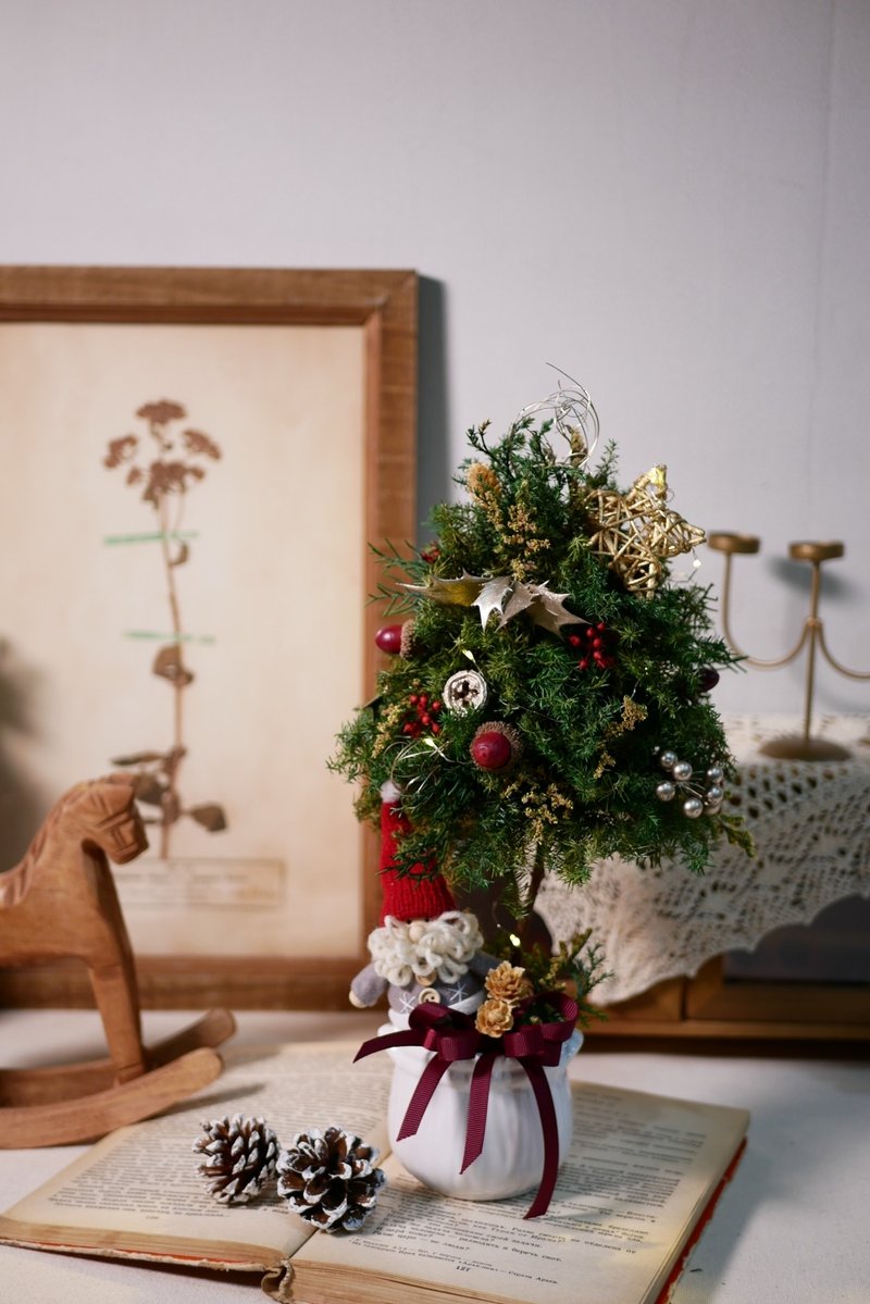 Father-in-law’s Christmas tree - Plants - Plants & Flowers 