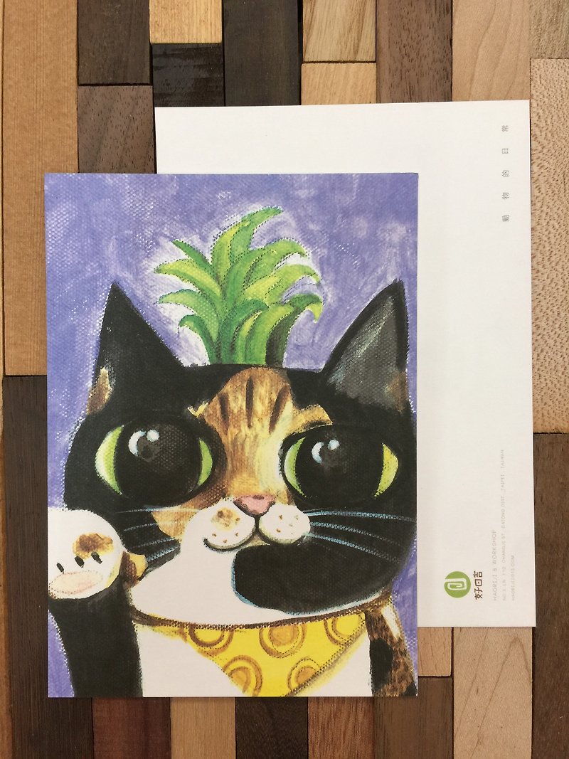 The Simplicity and Purity of Kongfeng Cat_Animal Daily Series - การ์ด/โปสการ์ด - กระดาษ สีเขียว