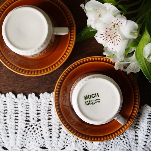 1960年代のボッホ、ベルギーの手描きの茶色の鳥と花のカップとソーサー