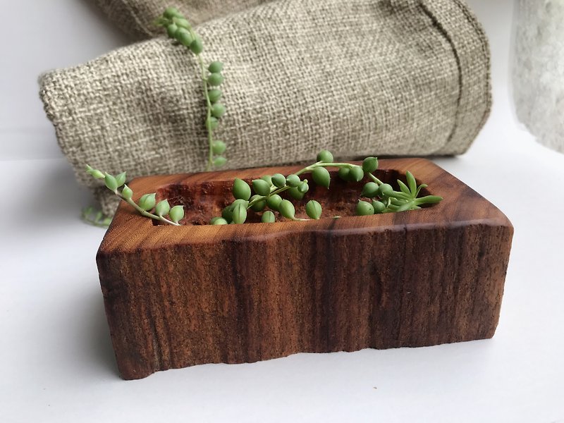 Leisurely afternoon. Beef eucalyptus meat bowl forest decoration - Plants - Wood Green