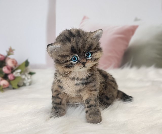 Realistic Kitten Art Doll OOAK Artificial Stuffed Animal Soft Toy Shop PawsandTailsUA Stuffed Dolls Figurines Pinkoi