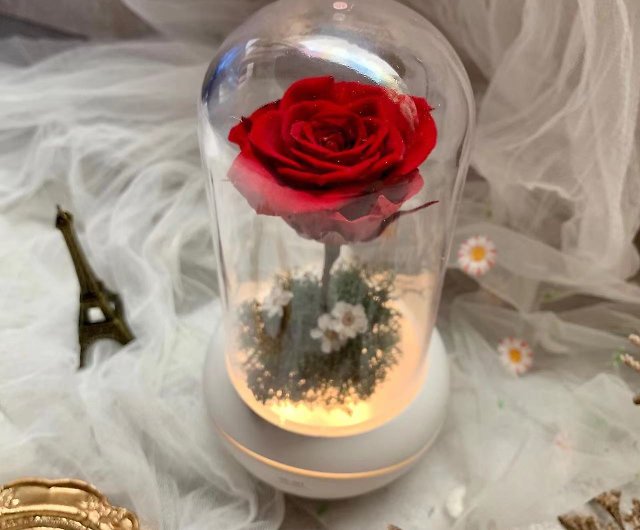 Preserved Flower Aroma Diffuser (USB Charging) / Magic Rose Unique / Night  Light / Fragrance / Essential Oil Diffuser - Shop Le Petit Florist  Fragrances - Pinkoi