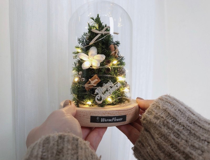 【聖誕禮盒】雪松聖誕樹玻璃盅 ー 溫暖經典 | 永生花/乾燥花 - 乾燥花/永生花 - 植物．花 綠色