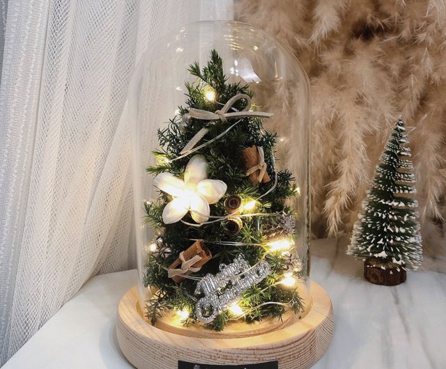 クリスマスギフトボックス】杉クリスマスツリーグラスカップーウォーム