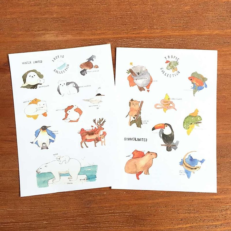 Shine Watercolor Animals Illustrated Limits and Paper Stickers - Polar and Tropical Animals - Stickers - Paper 