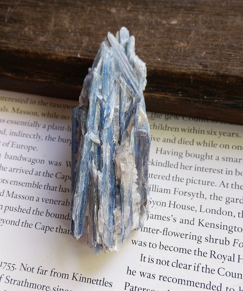 Kyanite 安徽產地 藍晶石 石英共生礦 天然礦石 原礦 - ของวางตกแต่ง - วัสดุอื่นๆ 