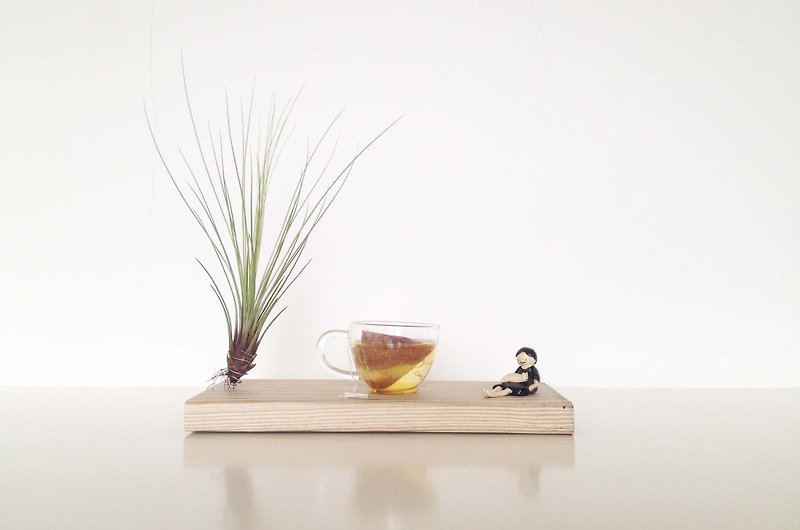 花蓮壽豐紅藜茶包（十入） - 茶葉/茶包 - 新鮮食材 紅色