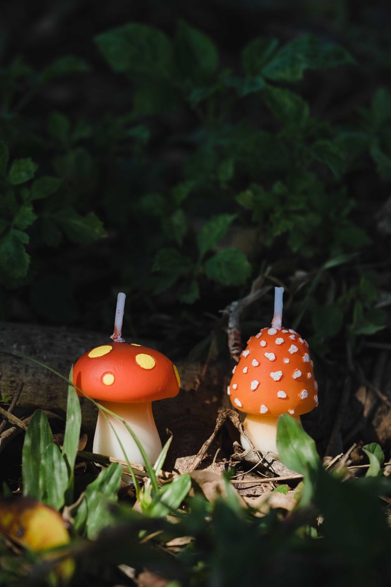 Forest Secret • Psychedelic Mushroom Cake Candle Set - เทียน/เชิงเทียน - ขี้ผึ้ง หลากหลายสี